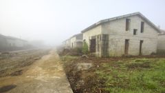 Parte de las casas, tras la limpieza del 2020 