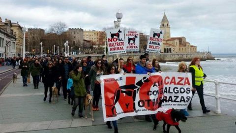 Una anterior convocatoria de la manifestaci�n en Gij�n