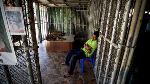 Un trabajador del parque de elefantes en Pattaya, Tailandia, duerme cerca de un tigre.