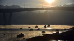 Imagen de archivo de O Pedrido