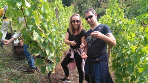 Turistas en una visita organizada durante la vendimia en la Ribeira Sacra