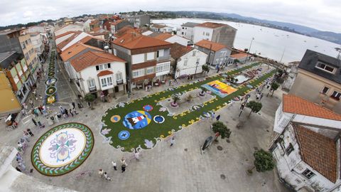 Alfombras Florales de Ares