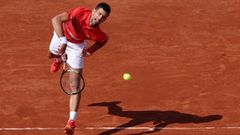 Djokovic sigue mostr�ndose s�lido en Par�s
