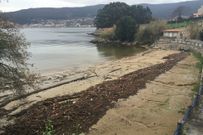La bajamar descubre los restos en el arenal de Campelo. 