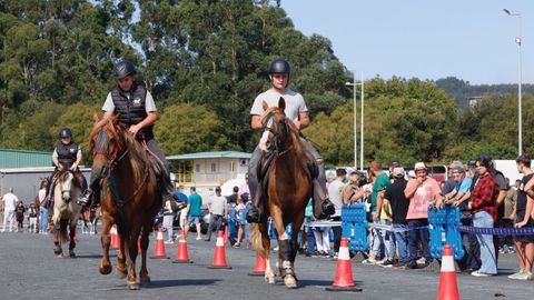 I Carreira Andadura Cidade de Narn