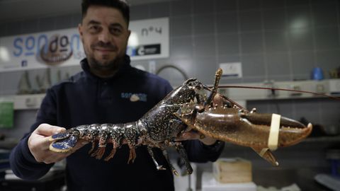 Marisco y pescado en la coruesa Plaza de Lugo