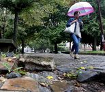 El pavimento del parque est� enormemente deteriorado. 