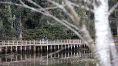 Espacio natural de A Xunqueira de Alba, en Pontevedra