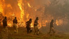 Operarios de los servicios de extinci�n de incendios trabaja en la zona de Zamanes, Vigo
