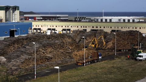 Madera almacenada en el muelle de O Berb�s, en Burela
