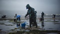 Mariscadoras en la r�a de Pontevedra trabajando esta primavera