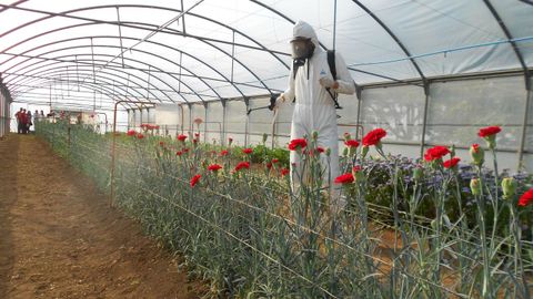 Centro de Formación e Experimentación Agraria de Guísamo