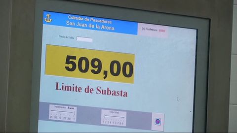 Subasta de angulas en el Nalón