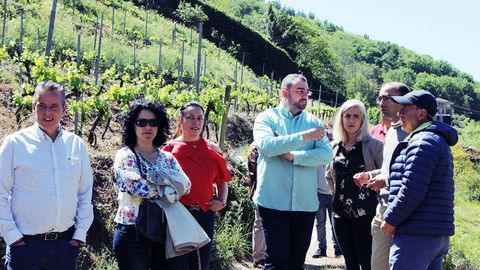 Adri�n Barb�n visita el vi�edo de la bodega del Monasterio de Corias