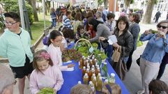 Escolares de Carballo vendieron su cosecha en la Pequefeira