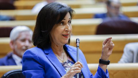 La titular de Defensa, Margarita Robles, en el Senado.