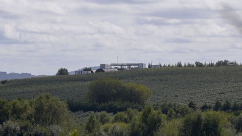 La explotación se ubica en el lugar de Pacios, en la parroquia begontesa de Baamonde