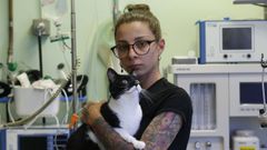 M�nica sostiene a su gata Mali, v�ctima de un disparo junto a su casa en Oleiros