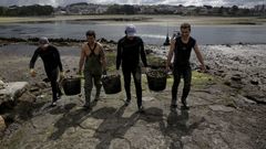 Mariscadores de la ria de O Burgo, durante una campa�a de retirada de mejill�n salvaje