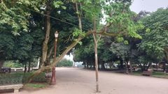 Parque Rosal�a de Castro: curioso sostenimiento de un �rbol