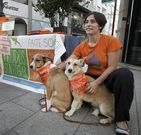 La agrupaci�n prepara una nueva actividad para recaudar fondos 