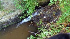 El �ltimo an�lisis del r�o arroj� altos datos de contaminaci�n.