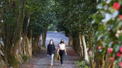 Los colores de la primavera invitan a pasear por Pontevedra y O Saln�s