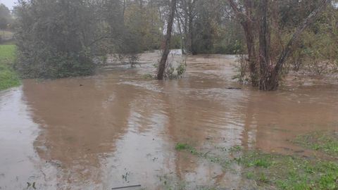 R�o Linares a la altura del puente de Amandi, en Villaviciosa.
