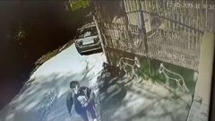 Un hombre abandona un perro en el Albergue de Animales de Oviedo