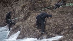 Percebeiros cogiendo percebe en la costa de Cari�o