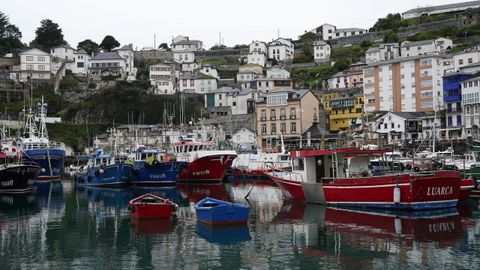Barcos en el puerto pesquero de Luarca