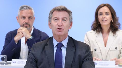 Feijoo, en el Comité Ejecutivo Nacional del PP.