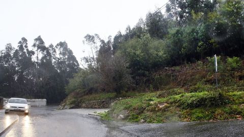 El monte municipal que se alquila est� en las inmediaciones de la Casa da Administraci�n