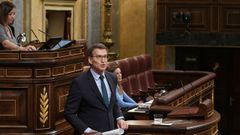 El presidente del PP y diputado, Alberto Nez Feijoo, interviene durante la sesin plenaria del Congreso.