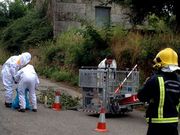 El acceso y manipulaci�n de los nidos puede ser peligroso. 