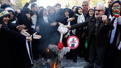 Un grupo de iran�es queman un mu�eco de Trump