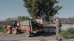 Taller de ramos en Corvill�n