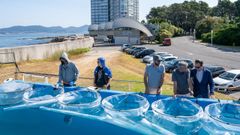 El CIM de Vigo investiga cmo las olas de calor afectan a los microorganismos de la ra