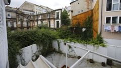 El crecimiento de la vegetaci�n preocupa a los vecinos de un edificio colindante