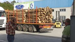 Un camin cargado de madera en las instalaciones de Forestal Cando, en San Sadurnio, en una imagen de archivo