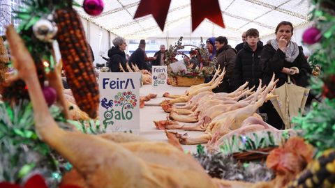 La Feira do Galo celebra este 2025 su 34.� edici�n con limitaciones por la gripe aviar