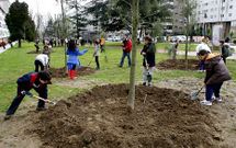 Cerca de 300 ni�os de cuatro colegios vigueses participaron en la replantaci�n de la zona.