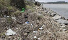 Imagen de una de las zonas del borde del humedal en las que se acumula la basura.
