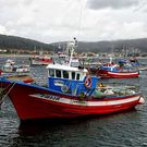 Flota de Fisterra amarrada en una imagen de archivo.