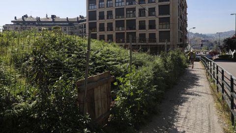 Solar en la calle Xes�s Pousa que es otro de los puntos problem�ticos del barrio