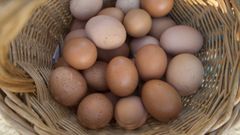 Imagen de archivo de una cesta de huevos
