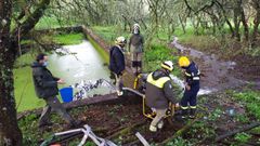 Contin�a la b�squeda en Trasalba