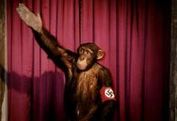 <span lang= es-es >Antecedente</span>. Rudolph Herzog, autor del libro, rod� en el 2006 el documental �Heil, Hitler, el cerdo est� muerto�, en el que el dictador alem�n ya era objeto de burla en escenas como esta.  