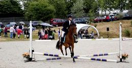 El concurso se organiza para animar a los ni�os a afianzar su �pasi�n� por la h�pica. 