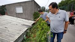 Antihistam�nicos, corticoides y adrenalina, con receta